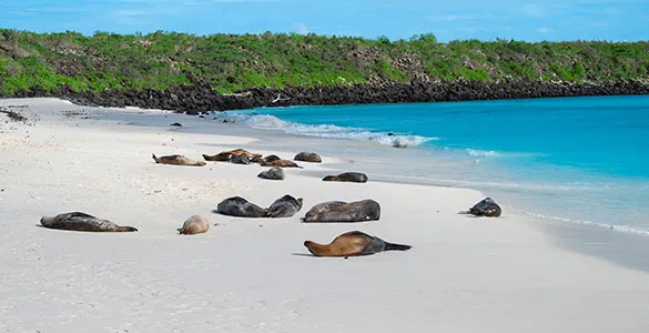winter-cruise-deals-warm-destinations-under-dollar-500-mid-content-5